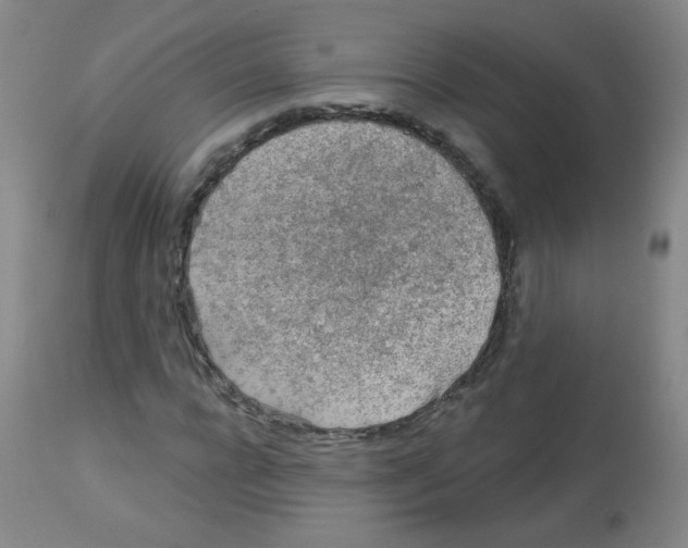 X0000113960920200910232025