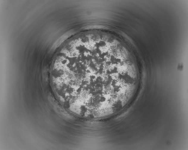 X0000113960921200910232025