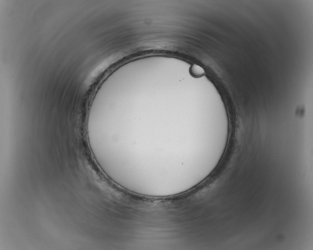 X0000113960922200910232025