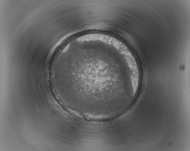 X0000113960923200910232025