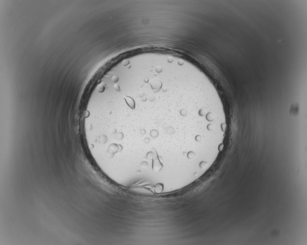 X0000113960924200910232025