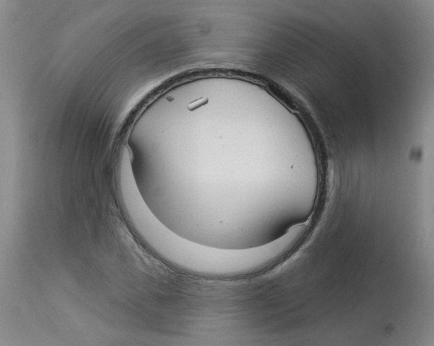 X0000113960925200910232025