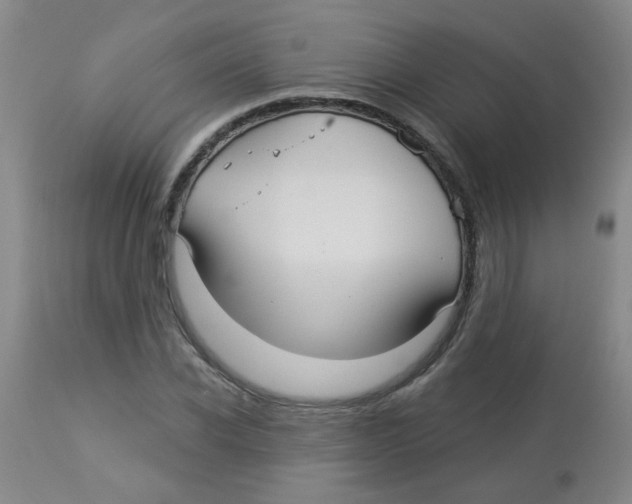 X0000113960926200910232025