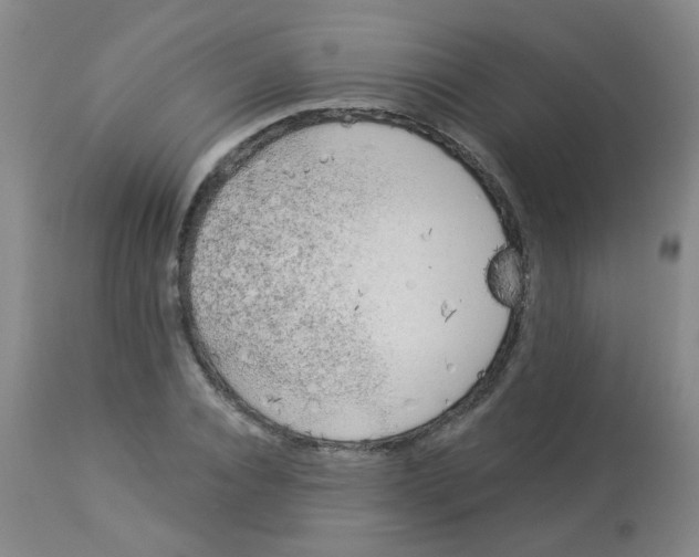 X0000113960928200910232025