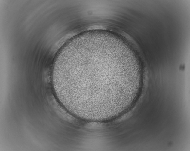 X0000113960929200910232025