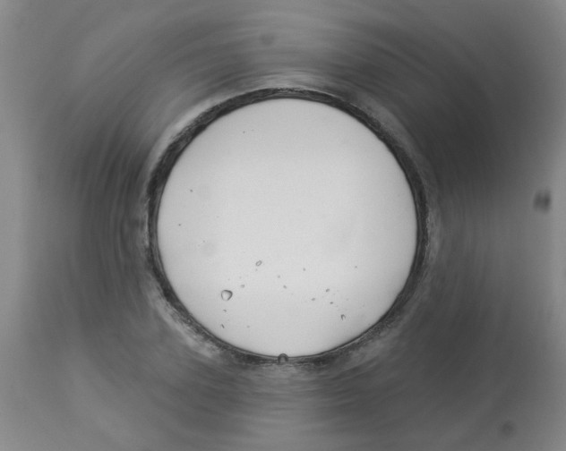 X0000113960931200910232025