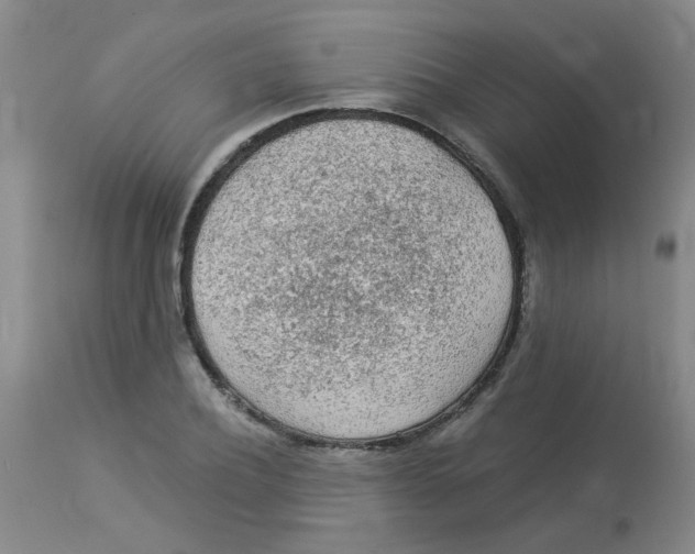 X0000113960932200910232025