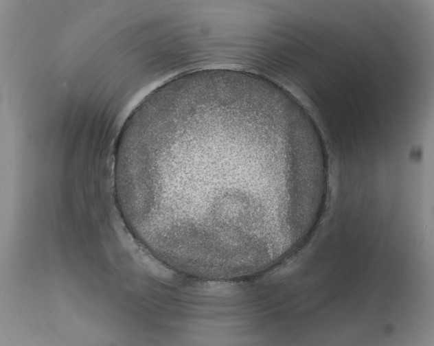 X0000113960933200910232025