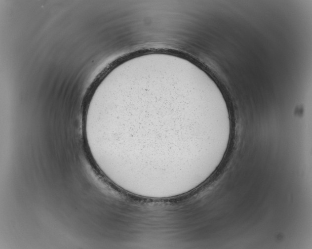 X0000113960934200910232025