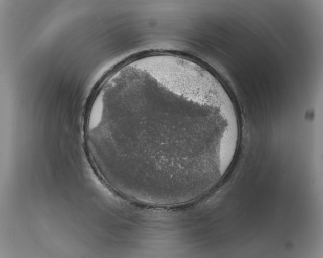 X0000113960935200910232025