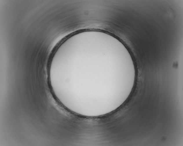 X0000113960936200910232025