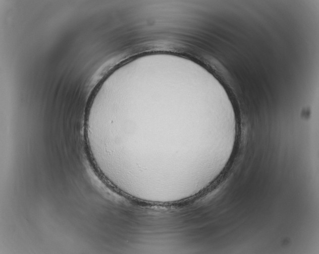 X0000113960938200910232025