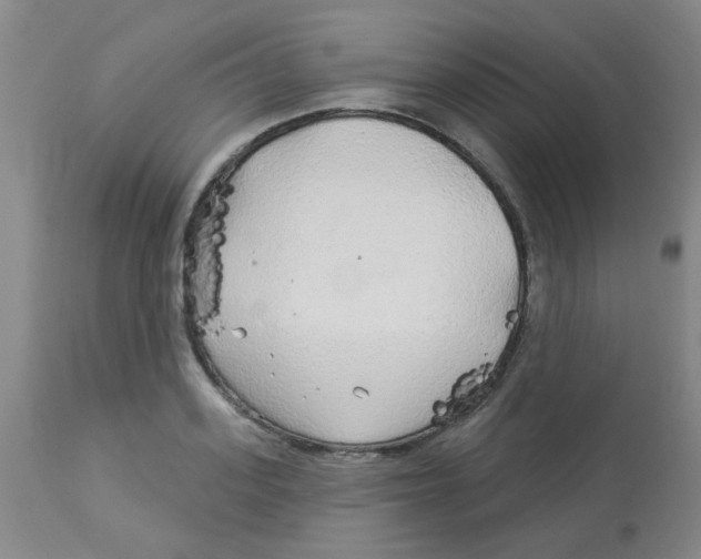 X0000113960939200910232025