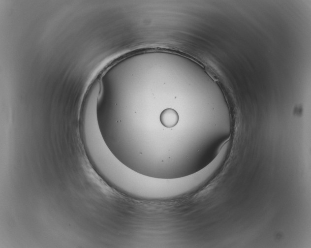 X0000113960940200910232025