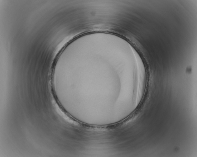 X0000113960941200910232025