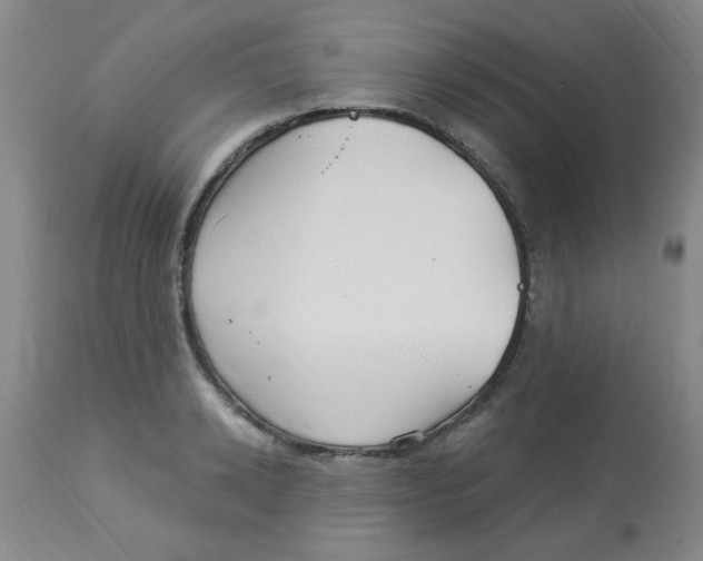 X0000113960942200910232026