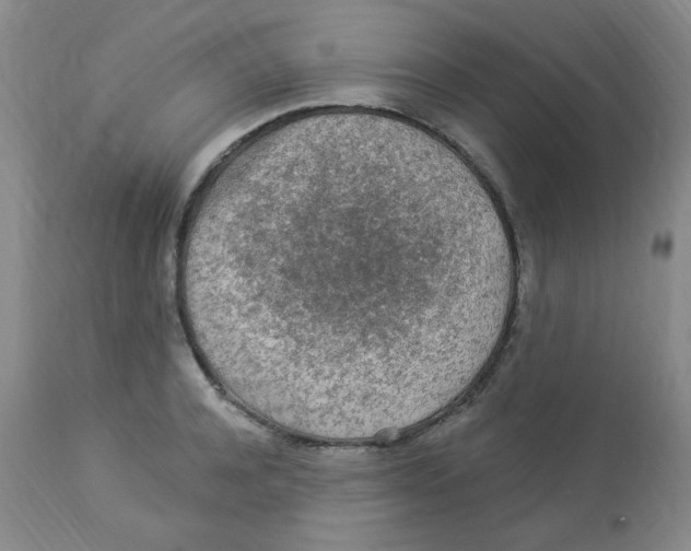 X0000113960944200910232026