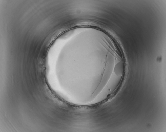 X0000113960945200910232026