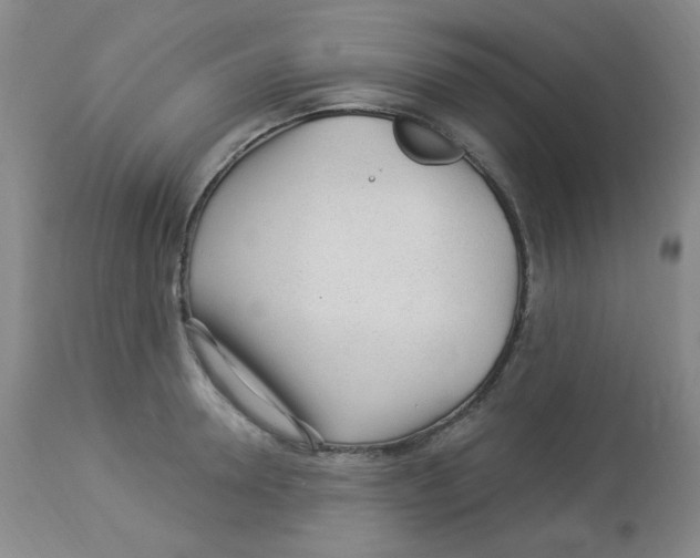 X0000113960946200910232026