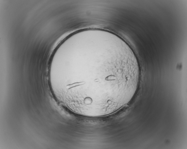 X0000113960948200910232026