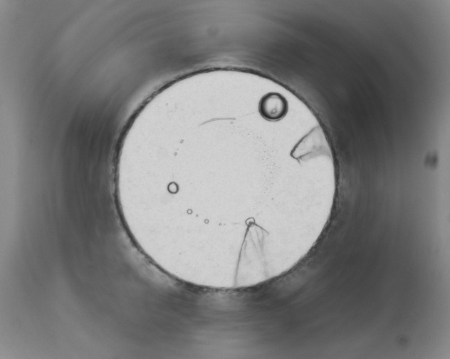 X0000113960950200910232026