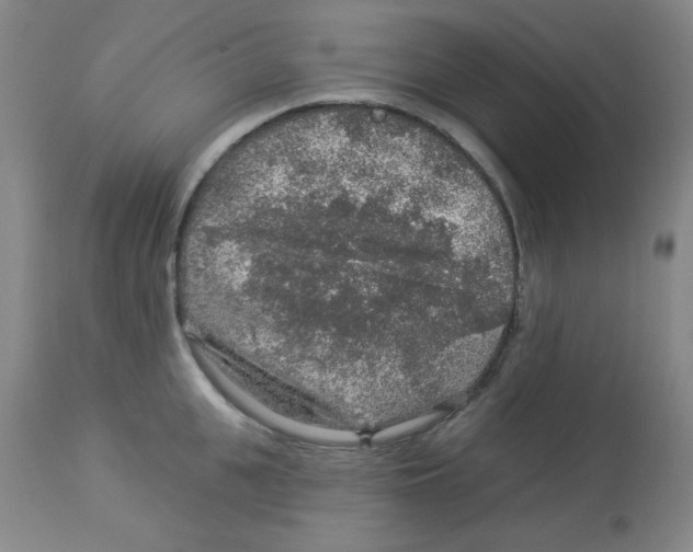 X0000113960951200910232026