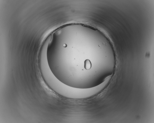 X0000113960952200910232026