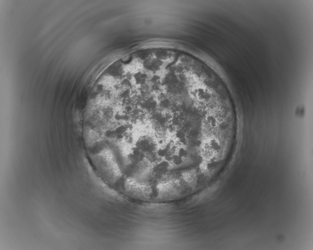 X0000113960953200910232026