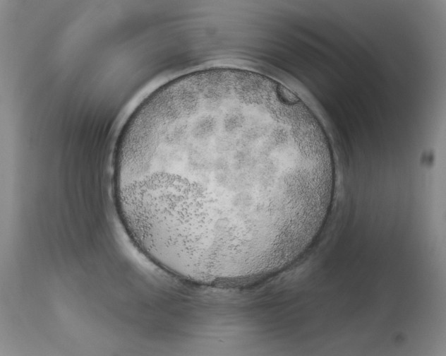 X0000113960955200910232026