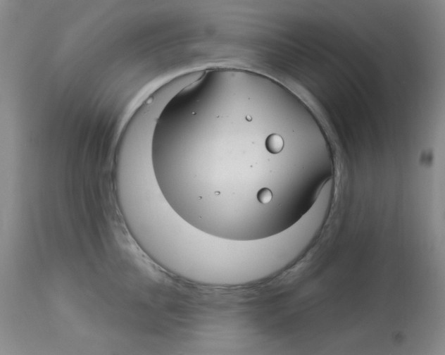 X0000113960956200910232026