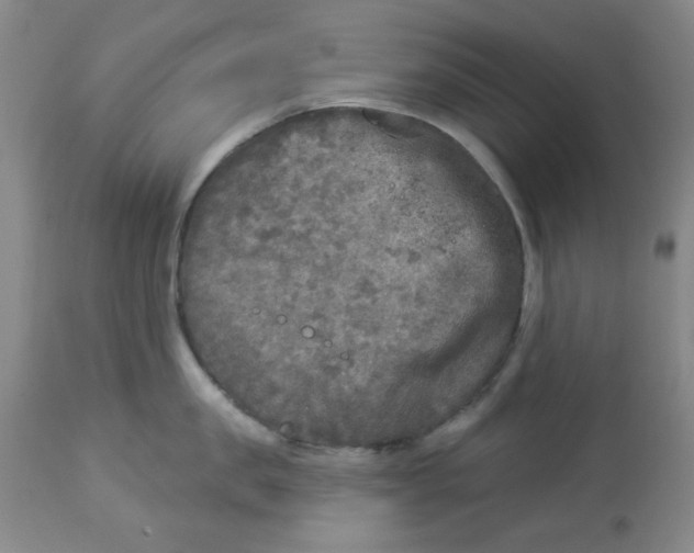 X0000113960957200910232026