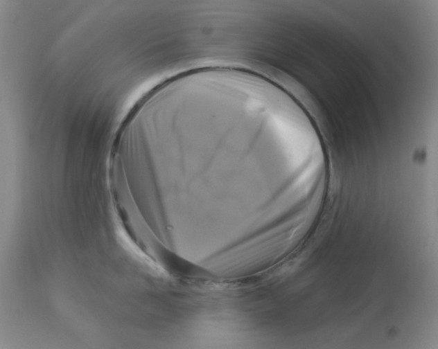 X0000113960958200910232026