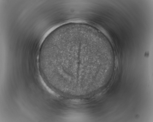 X0000113960959200910232026