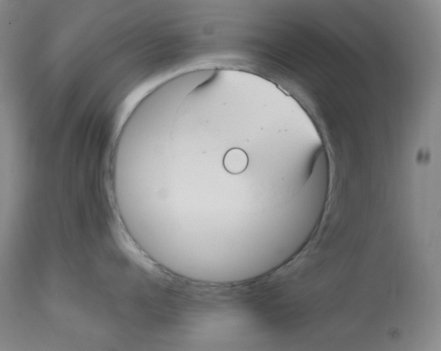 X0000113960960200910232026