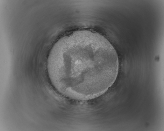 X0000113960961200910232025