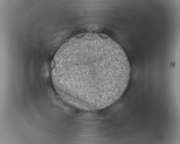 X0000113960962200910232025