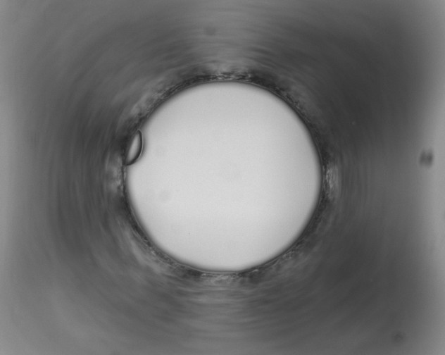 X0000113960963200910232025