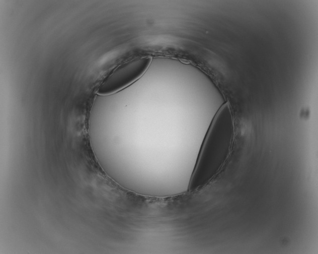 X0000113960965200910232025