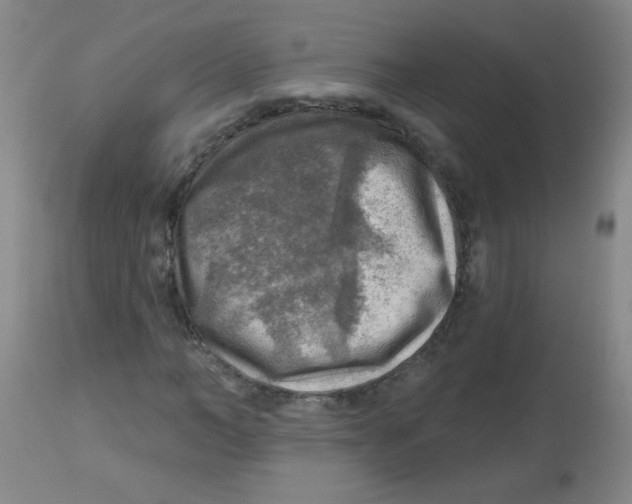 X0000113960966200910232025