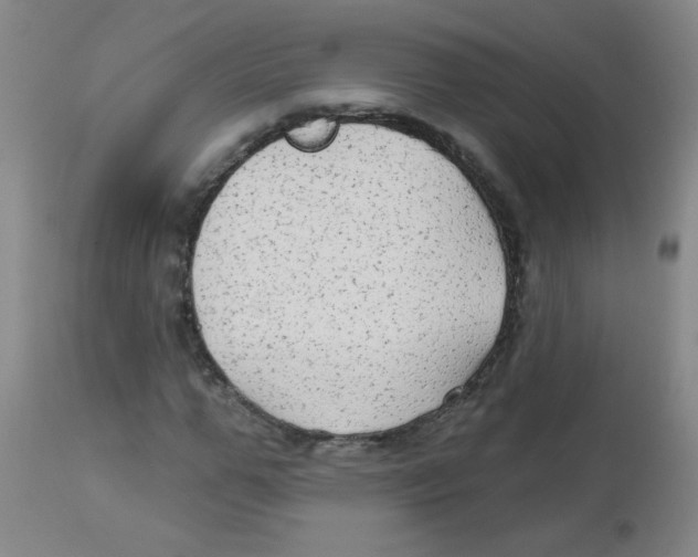 X0000113960967200910232025