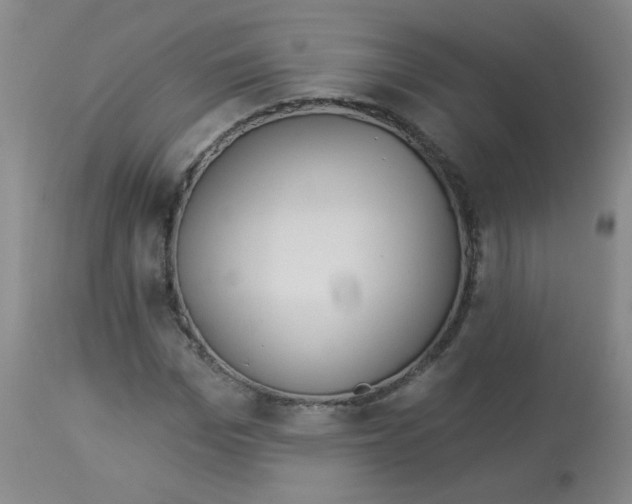 X0000113960969200910232025