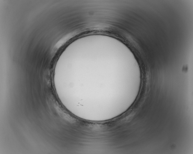 X0000113960970200910232025