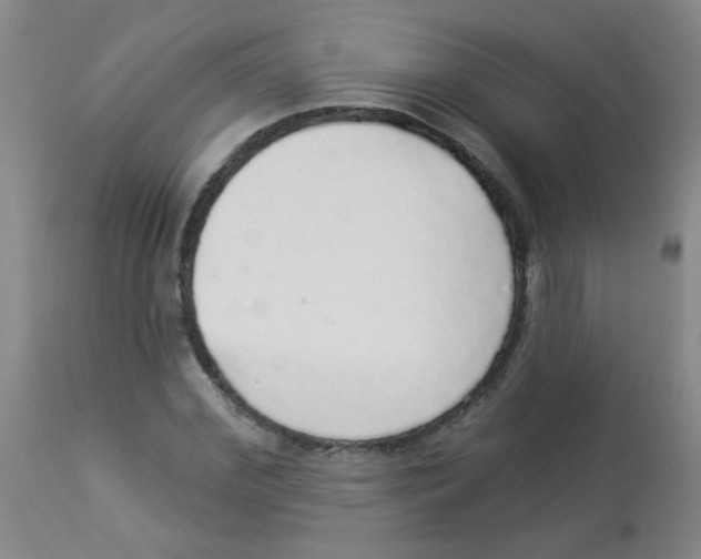 X0000113960972200910232025