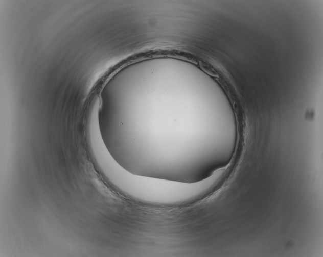 X0000113960973200910232025