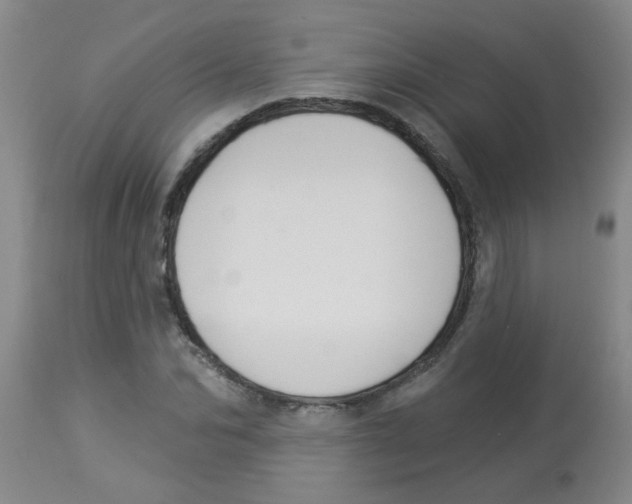 X0000113960974200910232025