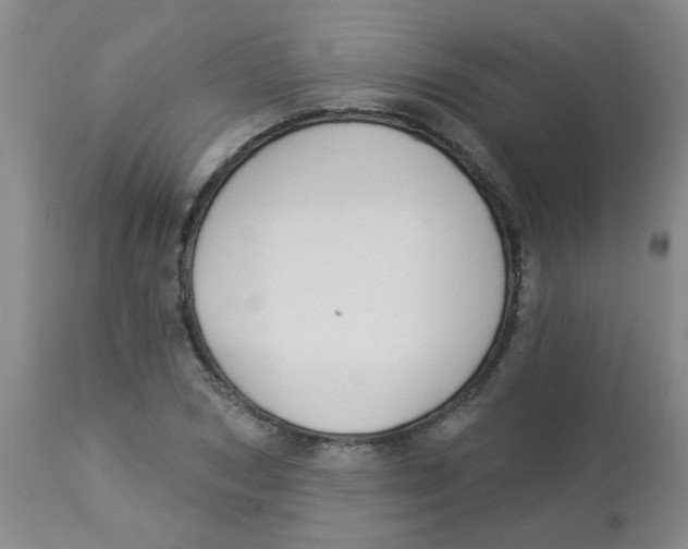 X0000113960978200910232025