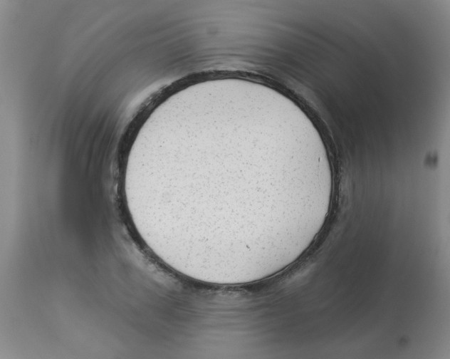 X0000113960979200910232025