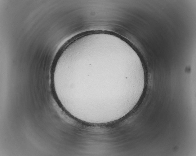 X0000113960980200910232025