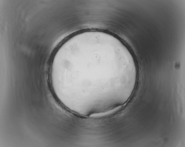 X0000113960983200910232025