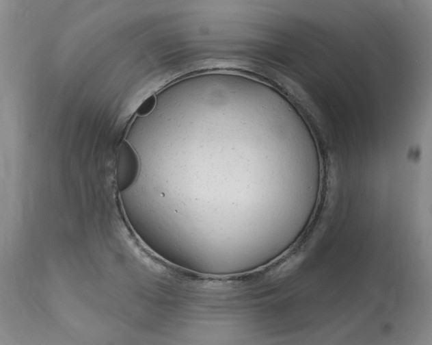 X0000113960985200910232025